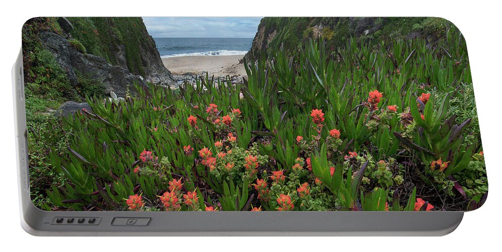 00571627 Portable Battery Charger featuring the photograph Paintbrush And Ice Plant, Garrapata State Beach, Big Sur, California by Tim Fitzharris