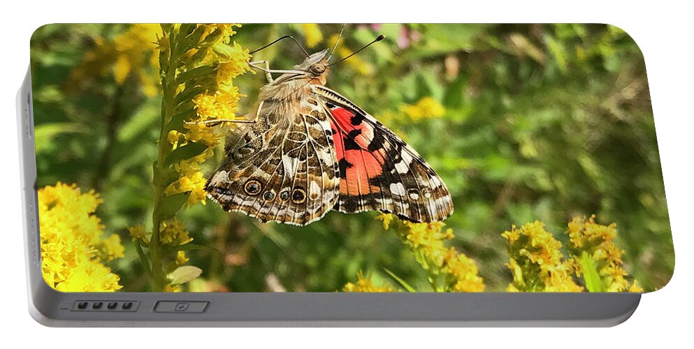 Painted Lady Portable Battery Charger featuring the photograph Painted Lady and Goldenrod 5 by Amy E Fraser