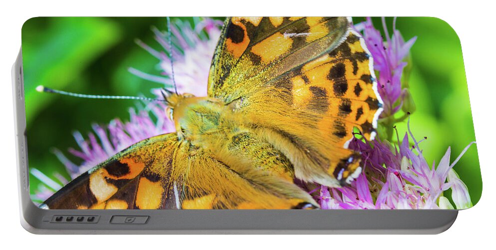 Painted Lady Butterfly Portable Battery Charger featuring the photograph Painted Lady Butterfly by Pheasant Run Gallery