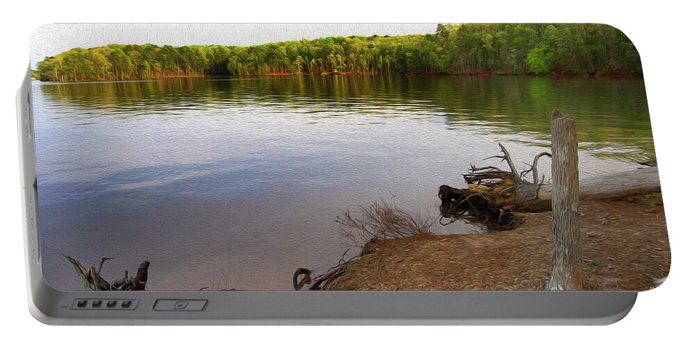 Scenic Portable Battery Charger featuring the photograph Painted Lake View by Skip Willits