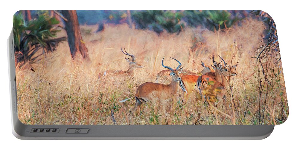 Wildlife Portable Battery Charger featuring the photograph Paradise found by Gaye Bentham
