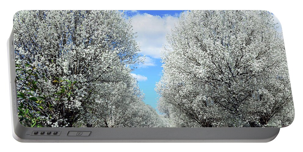 Bradford Pear Trees Portable Battery Charger featuring the photograph Paradise Lane by Michael Frank