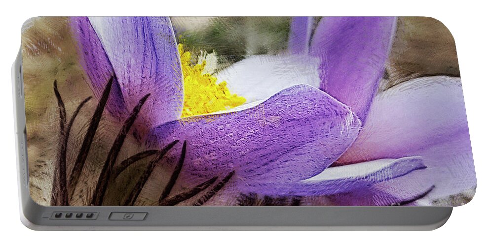 Flowers Portable Battery Charger featuring the digital art Pasque by Rebecca Langen