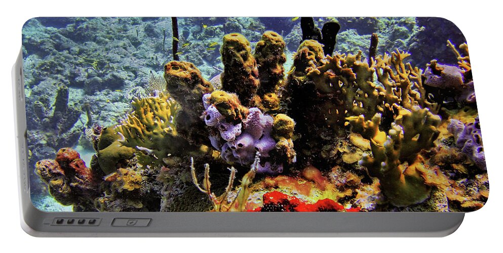 Coral Portable Battery Charger featuring the photograph Patch Reef Bluff by Climate Change VI - Sales