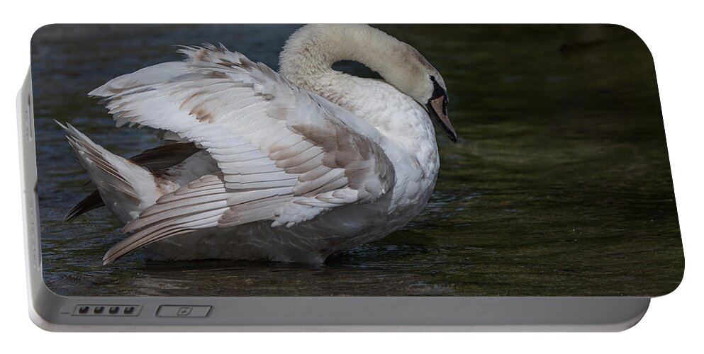 Photography Portable Battery Charger featuring the photograph Patchy Swan by Alma Danison
