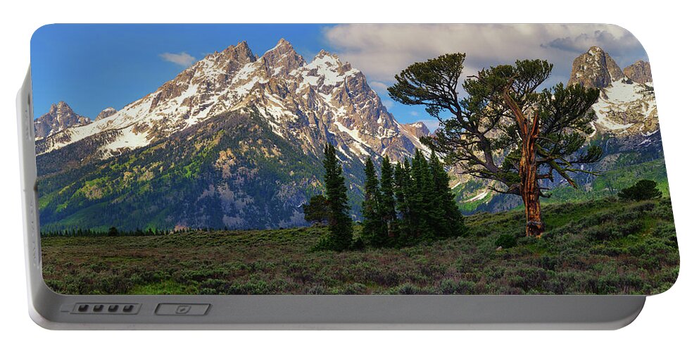 Patriarch Tree Portable Battery Charger featuring the photograph Patriarch Tree and the Cathedral by Greg Norrell