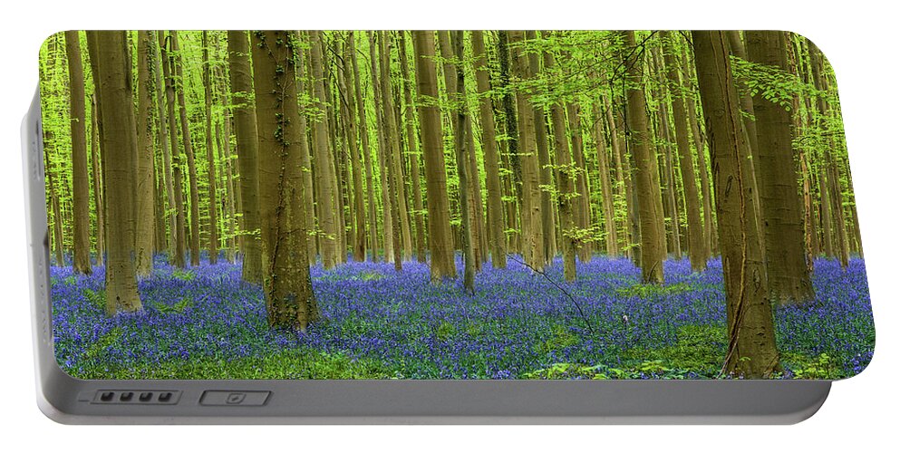 Bluebells Portable Battery Charger featuring the photograph Peaceful sight by Jorge Maia