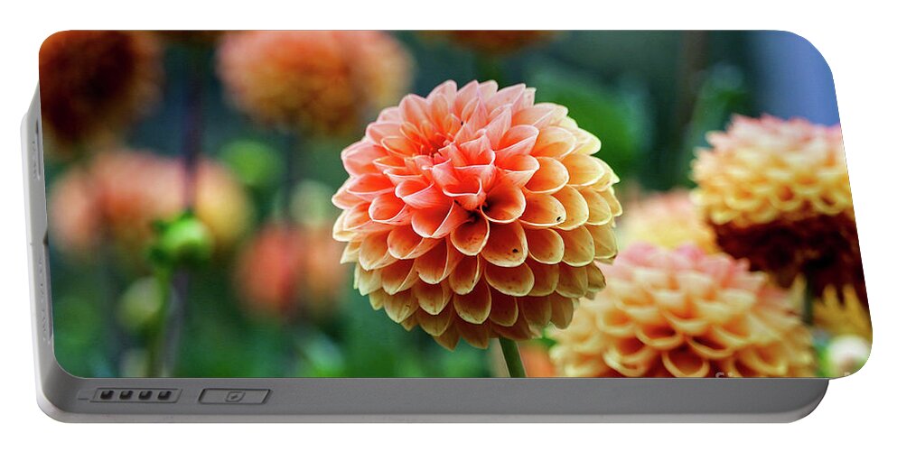 Autumn Portable Battery Charger featuring the photograph Peach Dahlias by Susan Rydberg