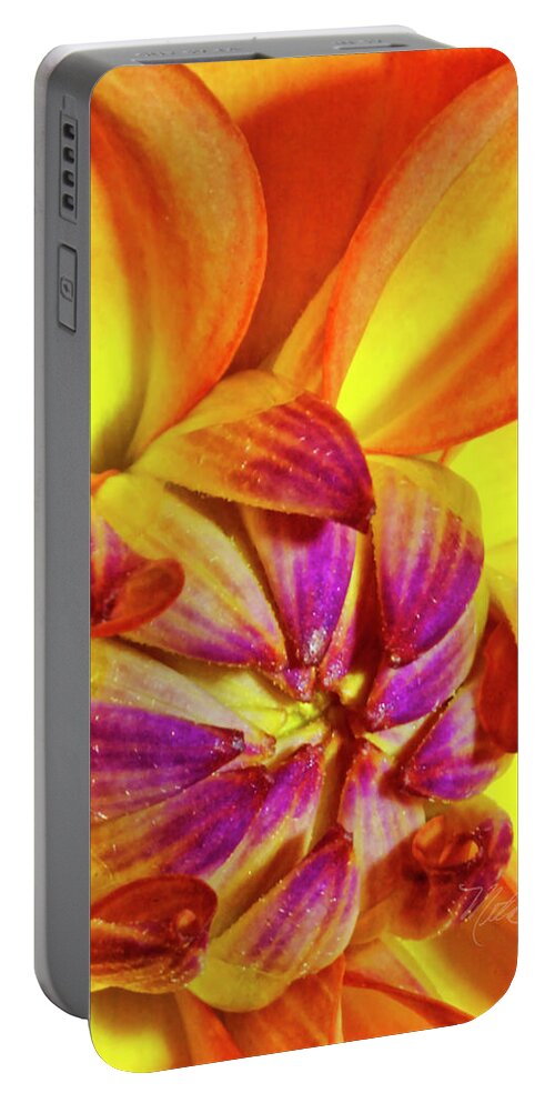 Macro Photography Portable Battery Charger featuring the photograph Peach Purple Flower by Meta Gatschenberger