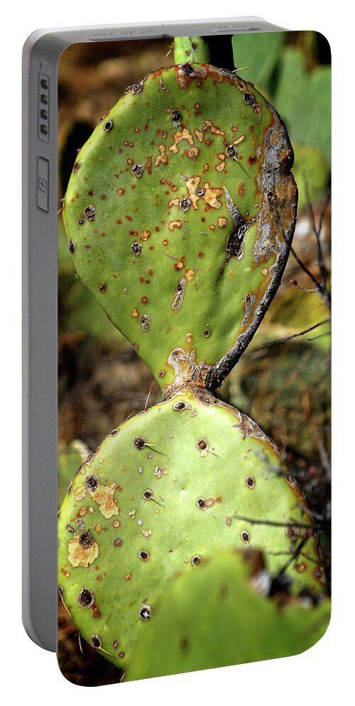 Desert Portable Battery Charger featuring the photograph Pear Cactus by George Taylor