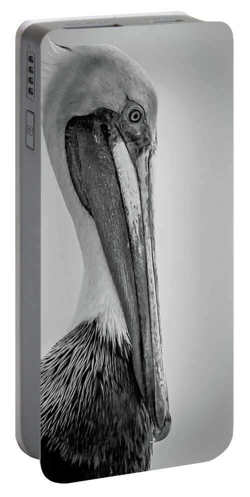 Black & White Portable Battery Charger featuring the photograph Pelican Portrait by Debra Kewley