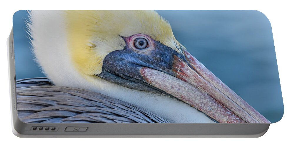 Pelican Portable Battery Charger featuring the photograph Pelican Profile by Christopher Rice