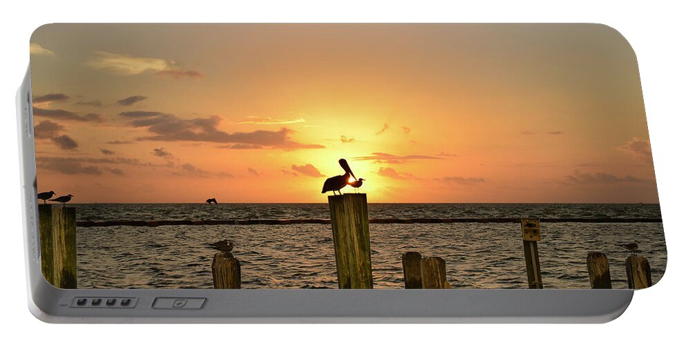  Portable Battery Charger featuring the photograph Pelican Sunrise by Christopher Rice