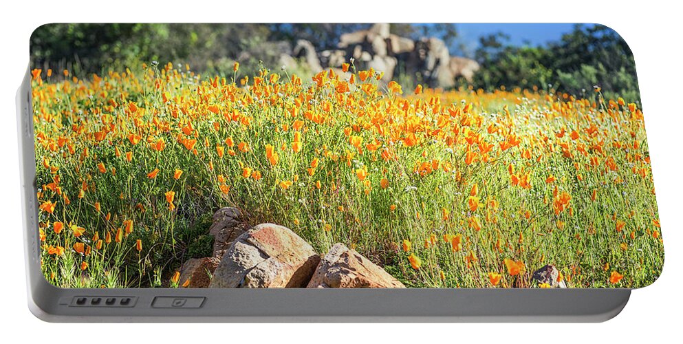 Flower Portable Battery Charger featuring the photograph Perfect Poppies Among The Rocks by Joseph S Giacalone