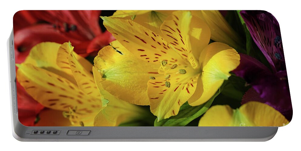 Peruvian Lilies Portable Battery Charger featuring the photograph Peruvian Lilies by Rachel Cohen