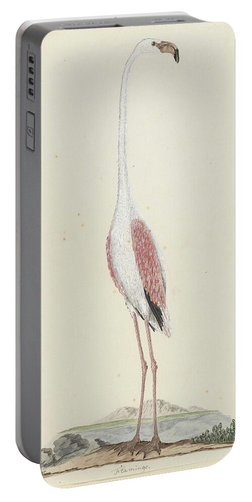 Nature Portable Battery Charger featuring the painting Phoenicopterus ruber roseus Greater flamingo, Robert Jacob Gordon, 1777 - 1786 by Robert Jacob Gordon