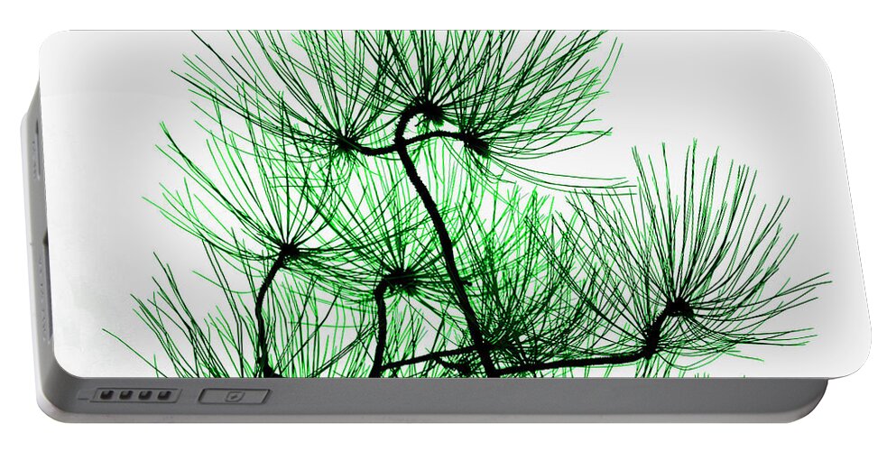 Top Artist Portable Battery Charger featuring the photograph Pine Needles in Black and Green by Norman Gabitzsch