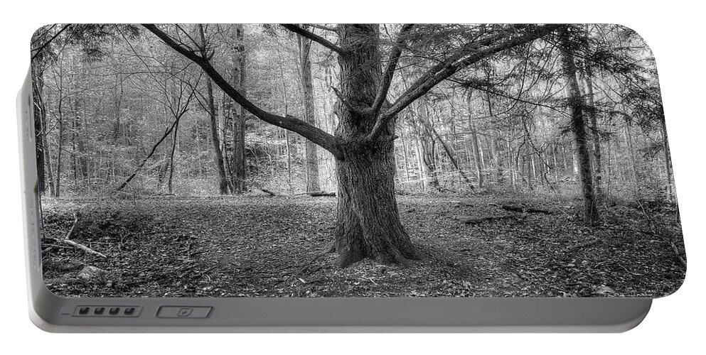 Pine Tree Portable Battery Charger featuring the photograph Pine Tree by Mike Eingle