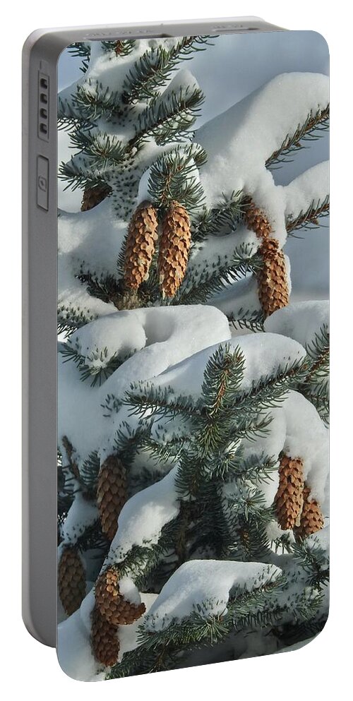 Pinecones Portable Battery Charger featuring the photograph Pinecones In Snow by Kathy Ozzard Chism