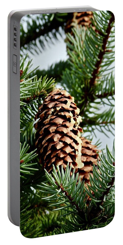 Pinecones Portable Battery Charger featuring the photograph Pinecones by Kathy Chism