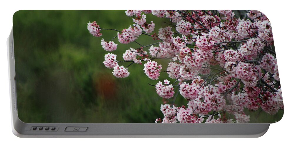 Misty Portable Battery Charger featuring the photograph Pink Blossoms in Foreground at Reagan Library on Deep Green Background by Colleen Cornelius