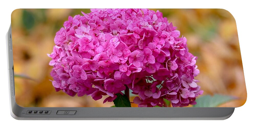 Close-up Portable Battery Charger featuring the photograph Pink Bouquet by Susan Rydberg