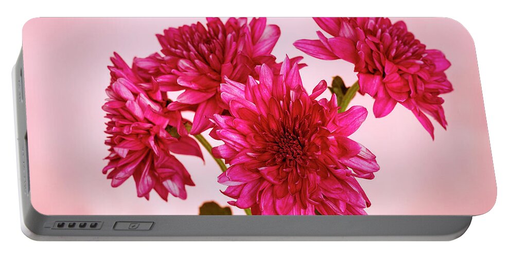 Chrysanth Portable Battery Charger featuring the photograph Pink Chrysanths by Tanya C Smith