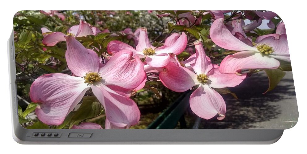 Bloom Portable Battery Charger featuring the photograph Pink Dogwood Blooms by Christopher Lotito