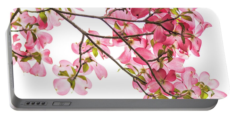 Pink Portable Battery Charger featuring the photograph Pink Dogwoods on White by Mary Ann Artz