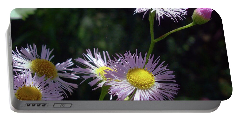 Common Fleabane Portable Battery Charger featuring the photograph Pink Fleabane 11 by Amy E Fraser