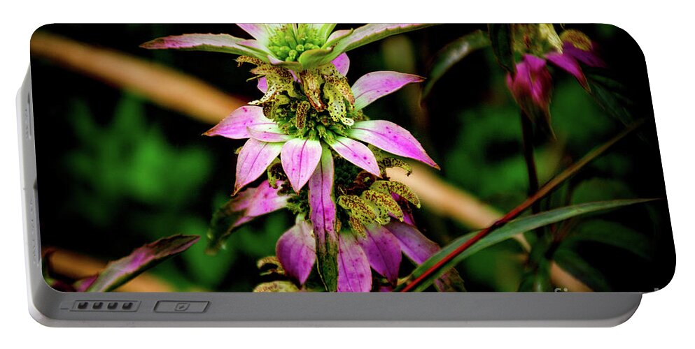 Pink Portable Battery Charger featuring the photograph Pink Wildflower by William Norton