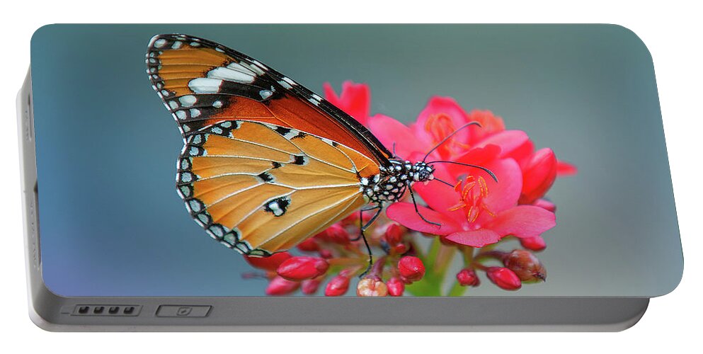 Bangkok Portable Battery Charger featuring the photograph Plain Tiger or African Monarch Butterfly DTHN0246 by Gerry Gantt