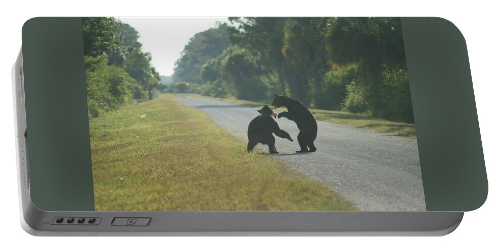 Florida Portable Battery Charger featuring the photograph Play Fight by Lindsey Floyd
