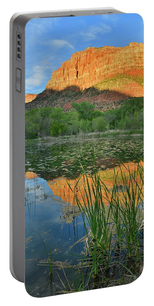 Zion National Park Portable Battery Charger featuring the photograph Pond Reflection of the Watchman in Zion NP by Ray Mathis