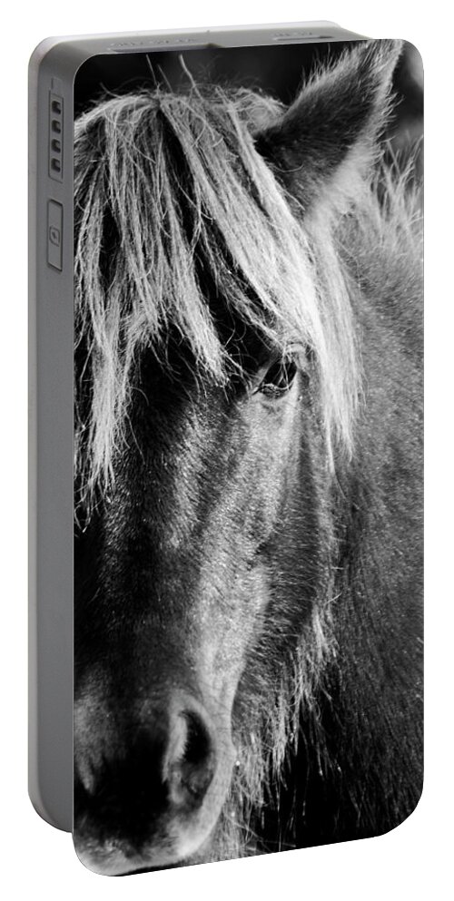Wild Horse Portable Battery Charger featuring the photograph Portait of a Wild Mustang by Bob Decker