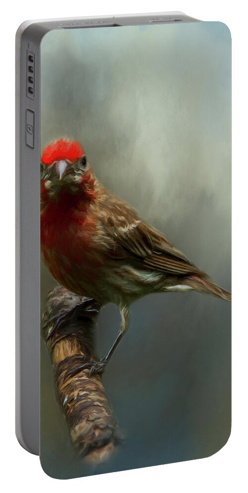 Avian Portable Battery Charger featuring the photograph Portrait of a House Finch by Cathy Kovarik