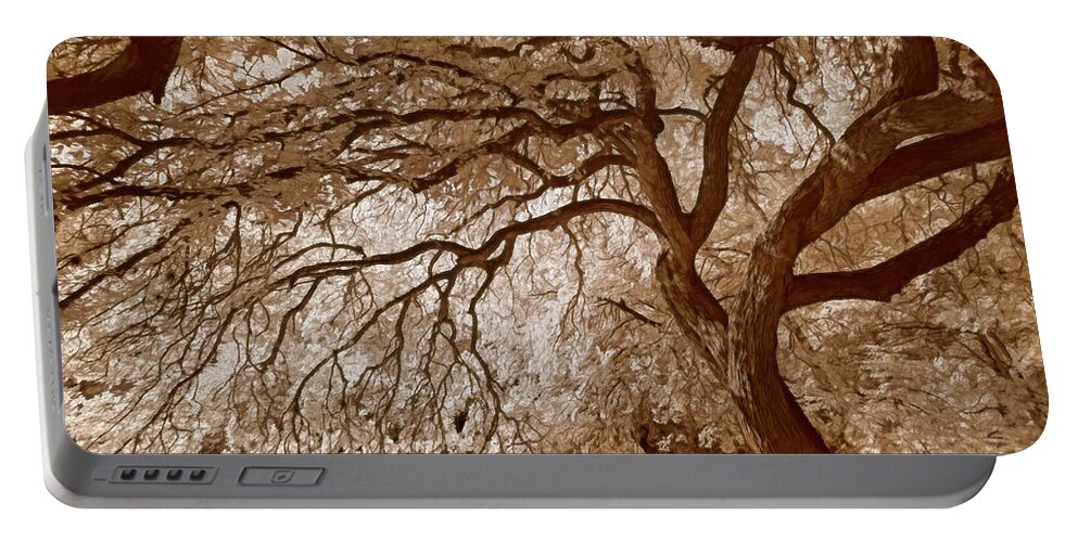 Top Artist Portable Battery Charger featuring the photograph Portrait of a Tree in Infrared by Norman Gabitzsch