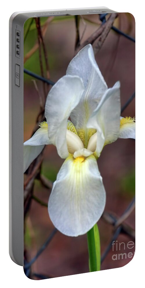 Flower Portable Battery Charger featuring the photograph Portrait of an Iris by Joan Bertucci