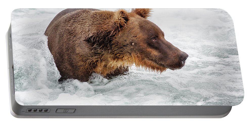 Alaska Portable Battery Charger featuring the photograph Portrait of Grizzly in Jacuzzi by Alex Mironyuk