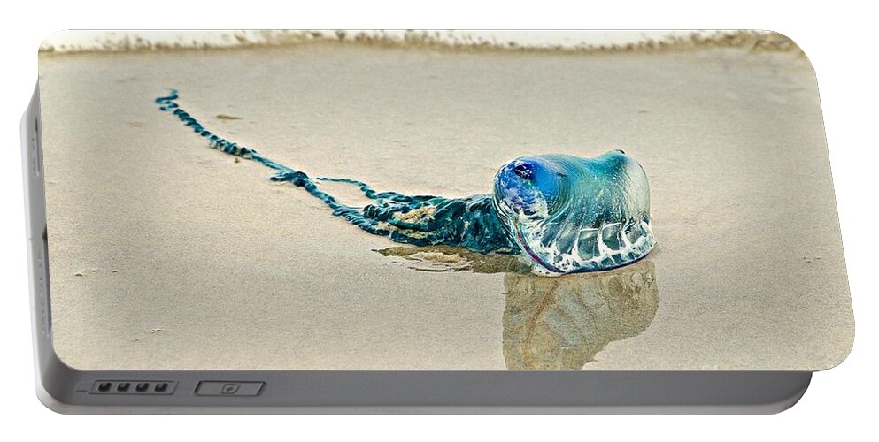 Sea Portable Battery Charger featuring the photograph Portuguese Man O' War by Linda Bianic