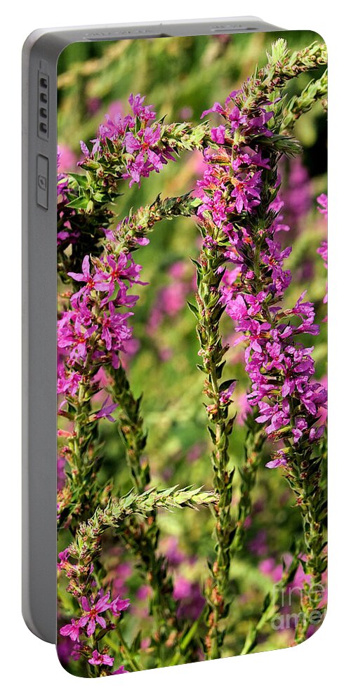 Delphinium Portable Battery Charger featuring the photograph Potomac Summer No.1 by Steve Ember