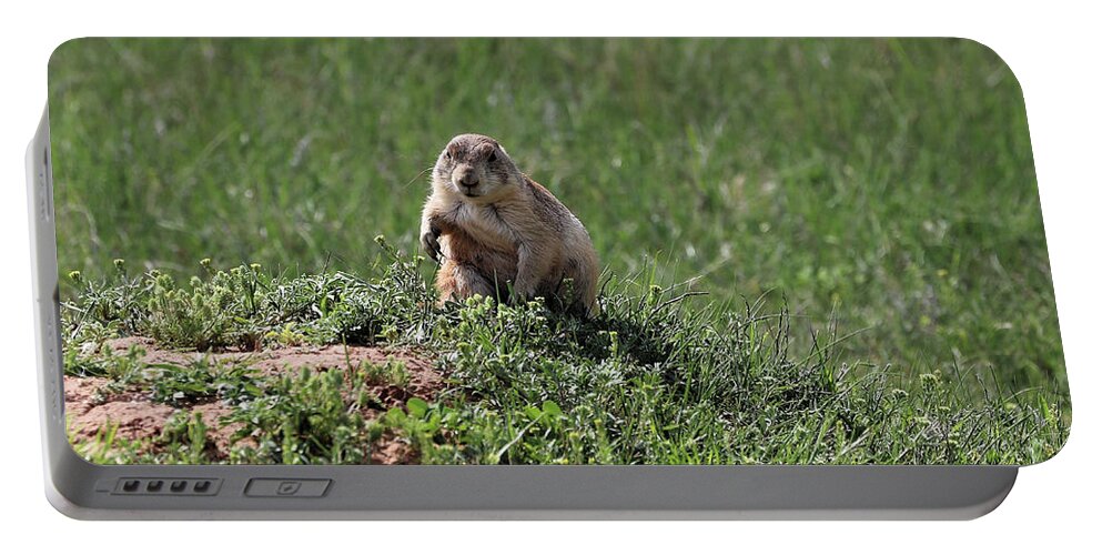 Prairie Dog Portable Battery Charger featuring the photograph Prairie Dog football stance by Doolittle Photography and Art