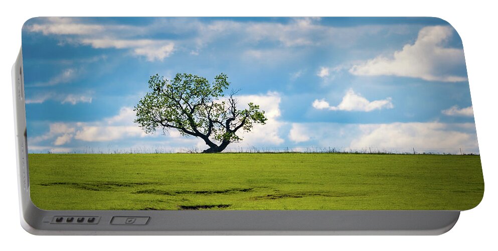 Cottonwood Tree Portable Battery Charger featuring the photograph Prairie Survivor II by Jeff Phillippi