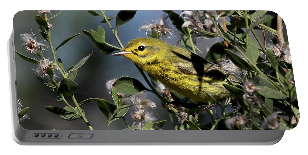 Prairie Warbler Portable Battery Charger featuring the photograph Prairie Warbler by Meg Rousher