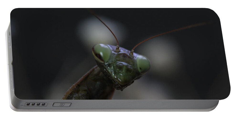 Mantis Portable Battery Charger featuring the photograph Praying mantis by Martin Smith