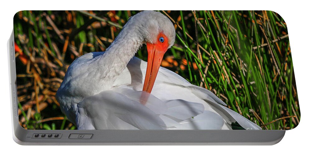 Ibis Portable Battery Charger featuring the photograph Preening Ibis #2 by Tom Claud