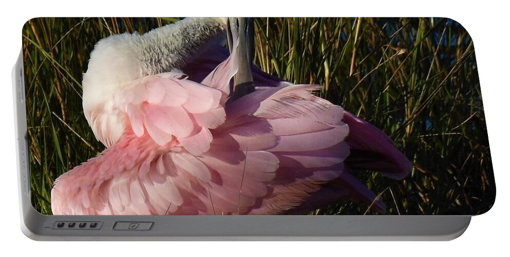 Roseate Spoonbill Portable Battery Charger featuring the photograph Preening Time by Chip Gilbert