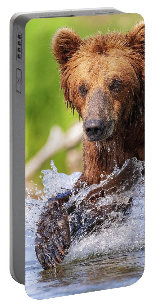 Alaska Portable Battery Charger featuring the photograph Presence by Chad Dutson