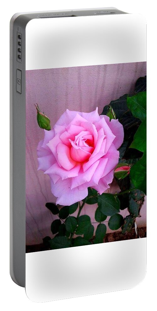 Pink Portable Battery Charger featuring the photograph Pretty In Pink by Marian Lonzetta