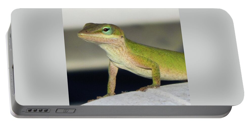 Animals Portable Battery Charger featuring the photograph Pretty Peepers by Karen Stansberry